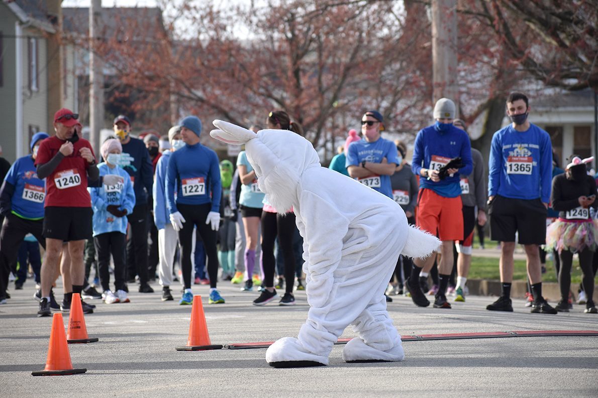 Rabbit Race